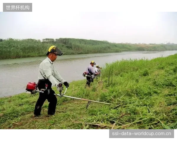 南京奥体中心发布绿色报告，精细油膜管理切入场馆能耗控制